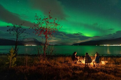 Tromsø: caza de auroras boreales con fotos y comida caliente