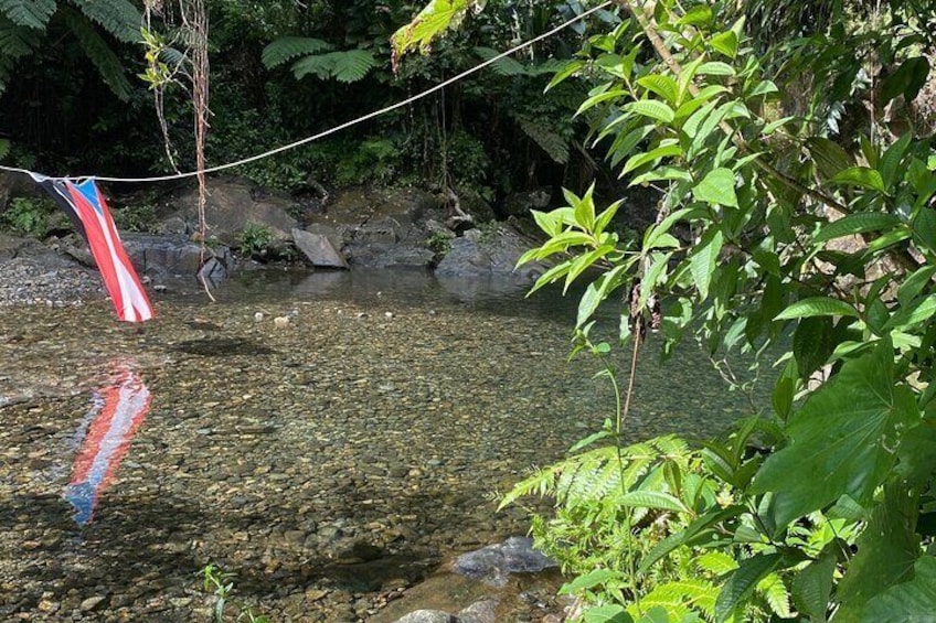 Fun Natural Waterslides Experience in El Yunque 