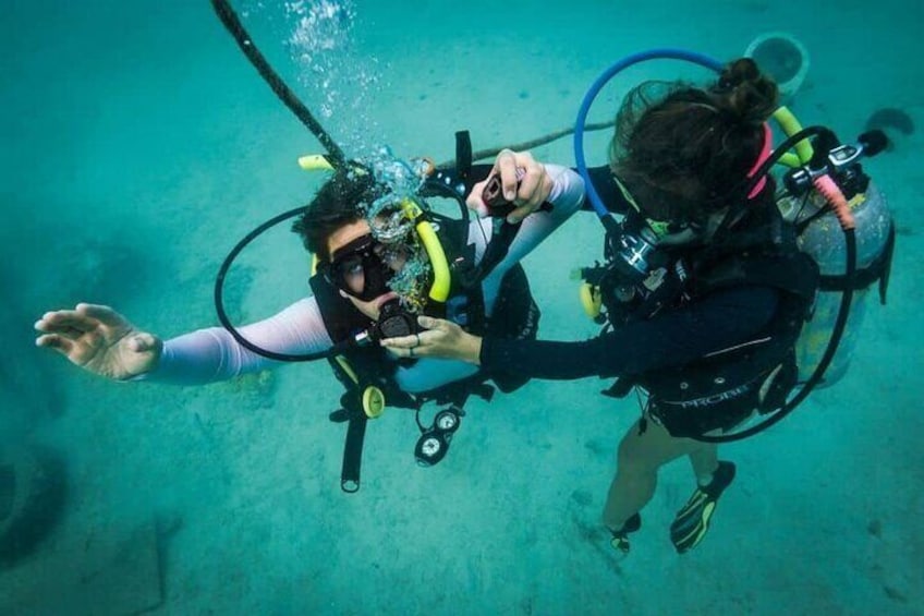 Beginner Discovery Scuba Diving in Anilao 2.5 hours away from Manila**