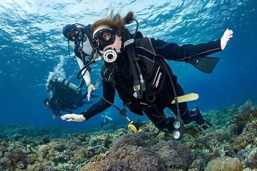 Beginner Discovery Scuba Diving in Anilao 2.5 hours away from Manila**