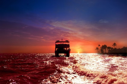 Crucero al atardecer en Miami