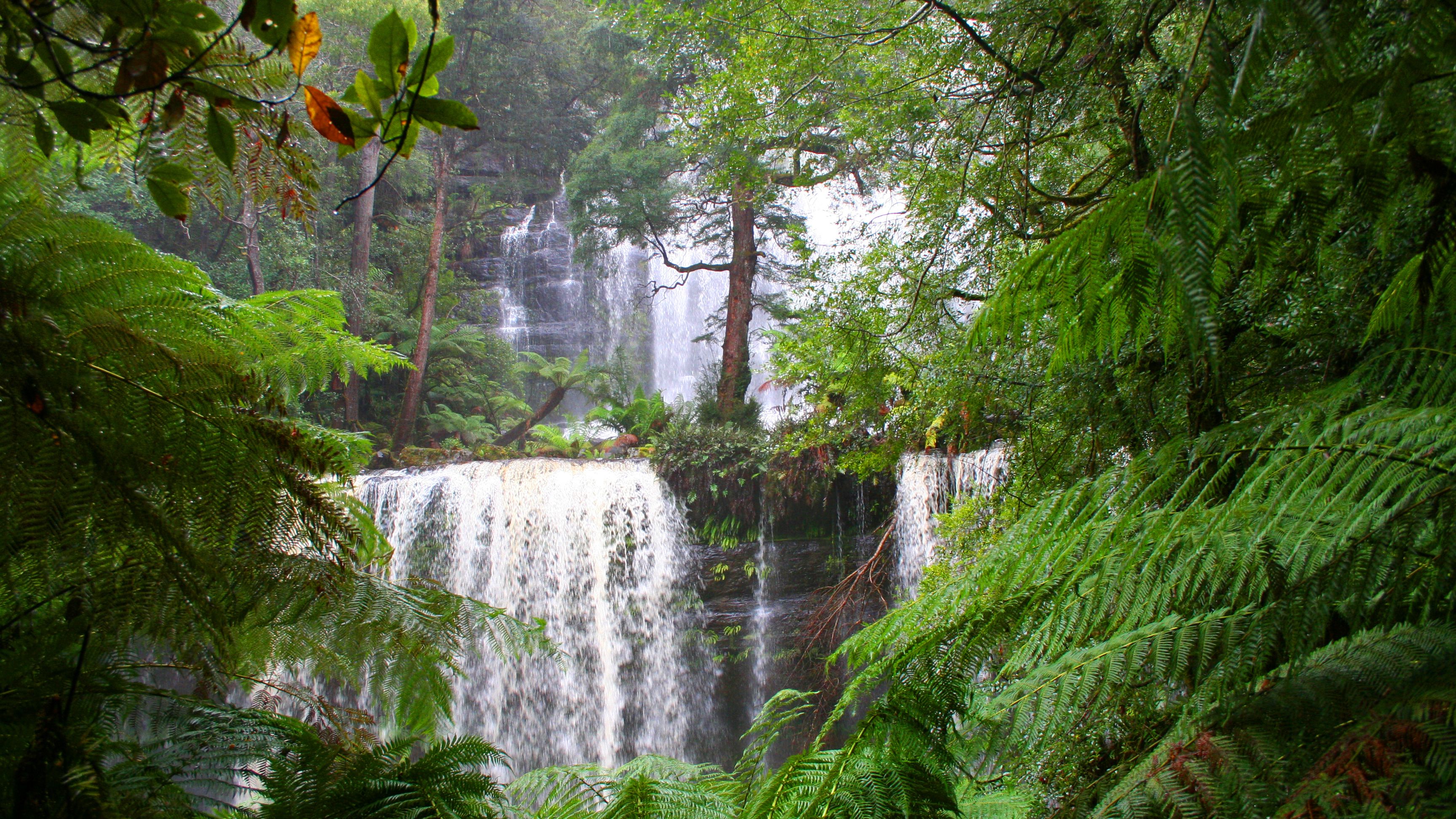 10 TOP Things to Do in Huon Valley (2020 Activity Guide) Expedia 10 TOP Things to Do in Huon Valley (2020 Activity Guide) Expedia