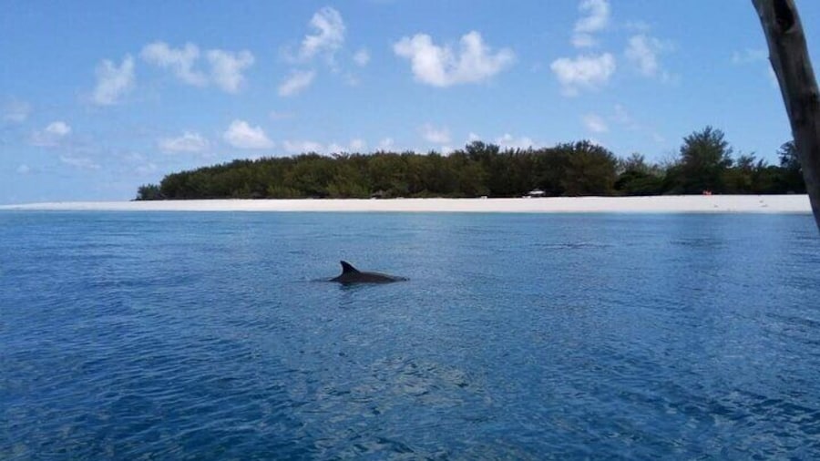 Mnemba Island's Marine Park.