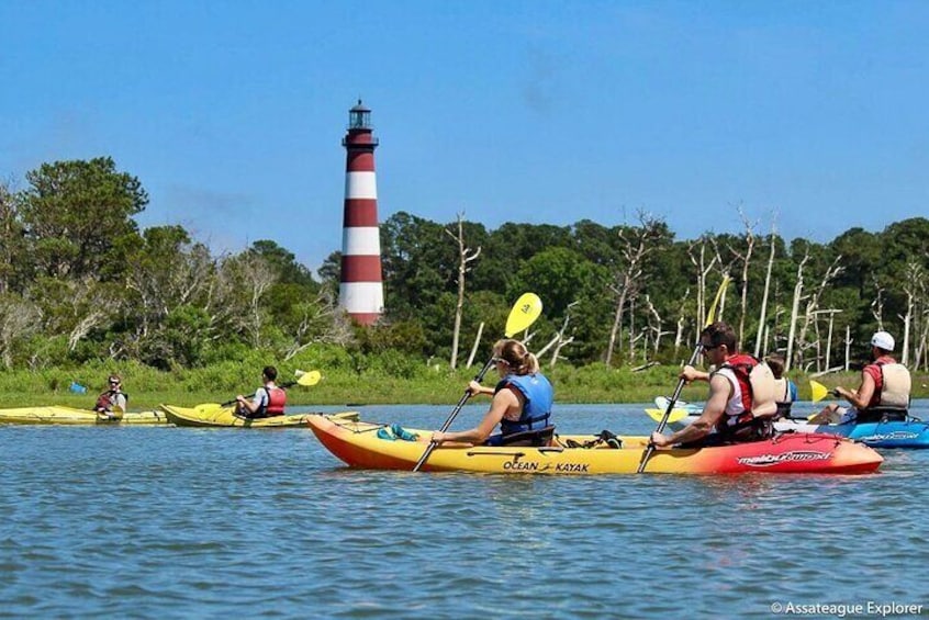 Kayak Tour along Assateague Island to see Wild Ponies and Nature