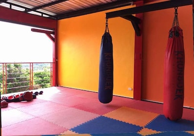 Ao Nang, Krabi: lección de muay thai de 90 minutos