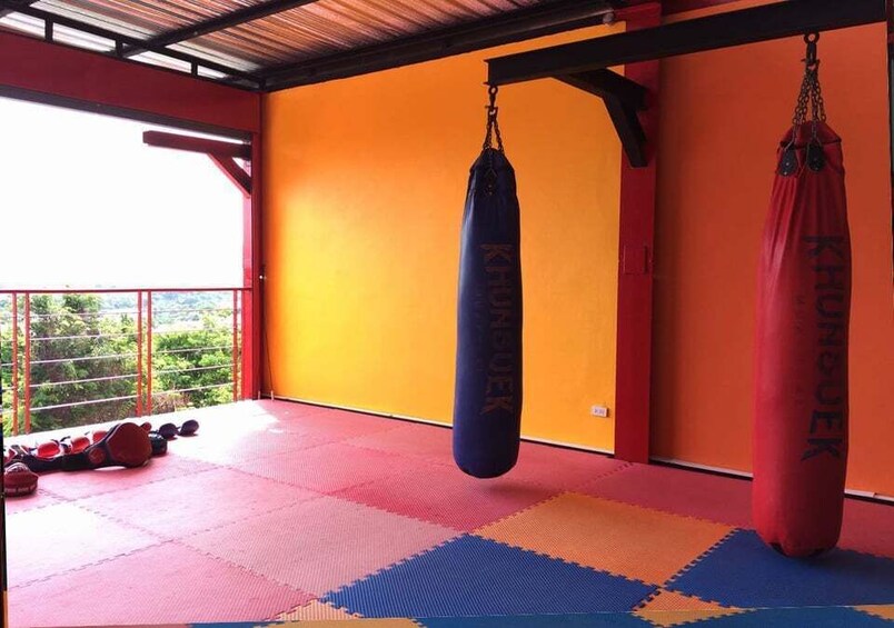 Picture 8 for Activity Ao Nang, Krabi: 90-Minute Muay Thai Lesson