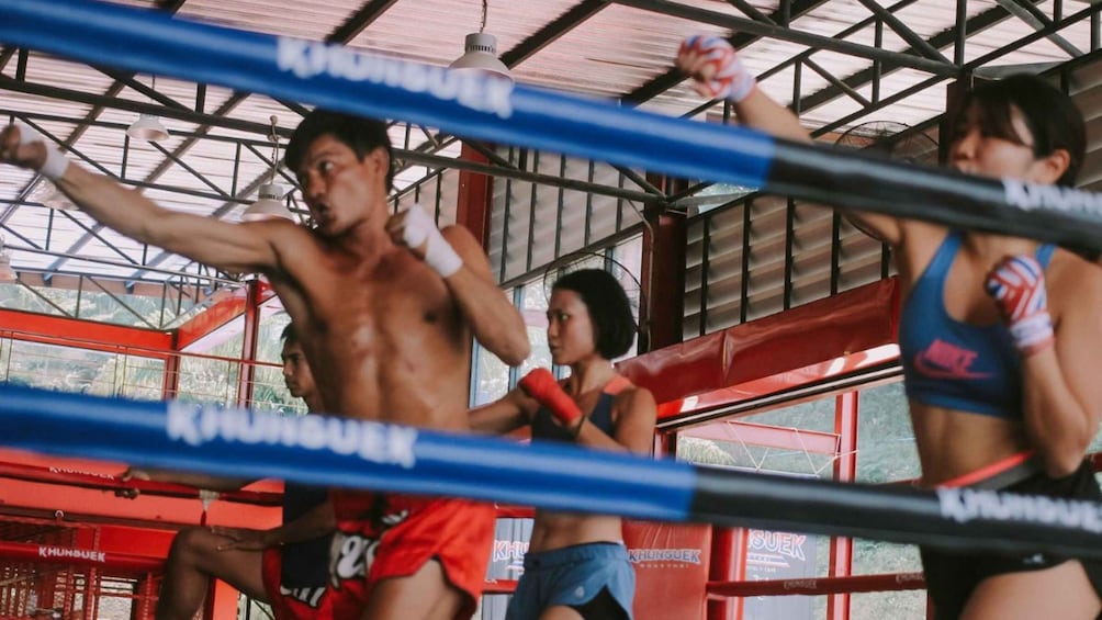 Picture 1 for Activity Ao Nang, Krabi: 90-Minute Muay Thai Lesson
