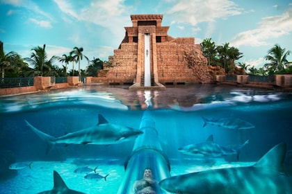 Atlantis Aquaventure และ Lost Chamber พร้อมบริการรับส่ง