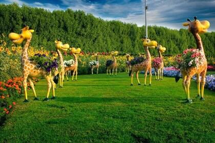 Private excursion of Miracle garden with Global village