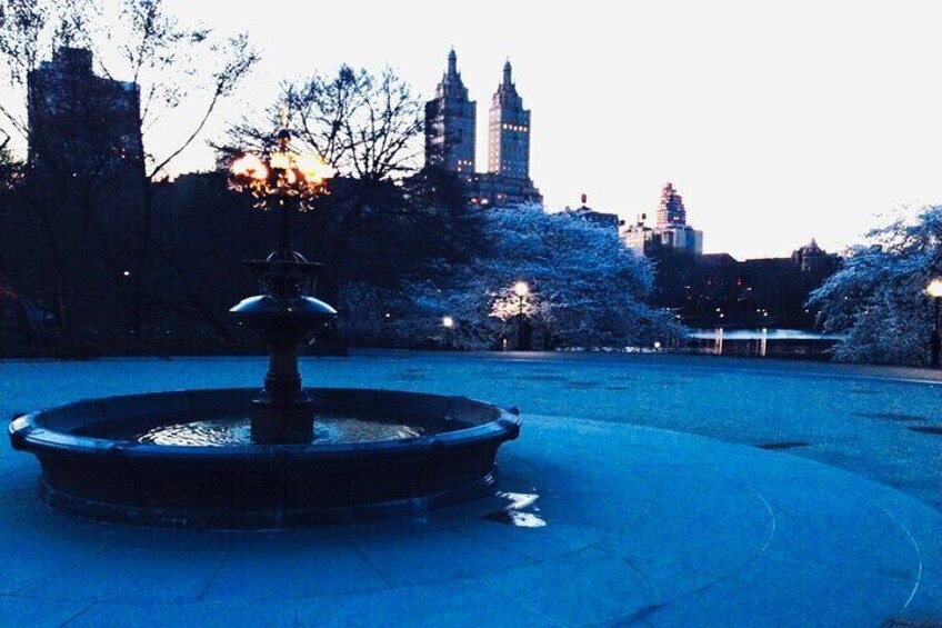 Nothing like Central Park at dusk!