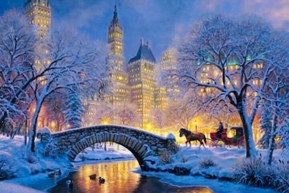 Magical Night Time Ride through Central Park & Rockefeller Center (45-50 mi...