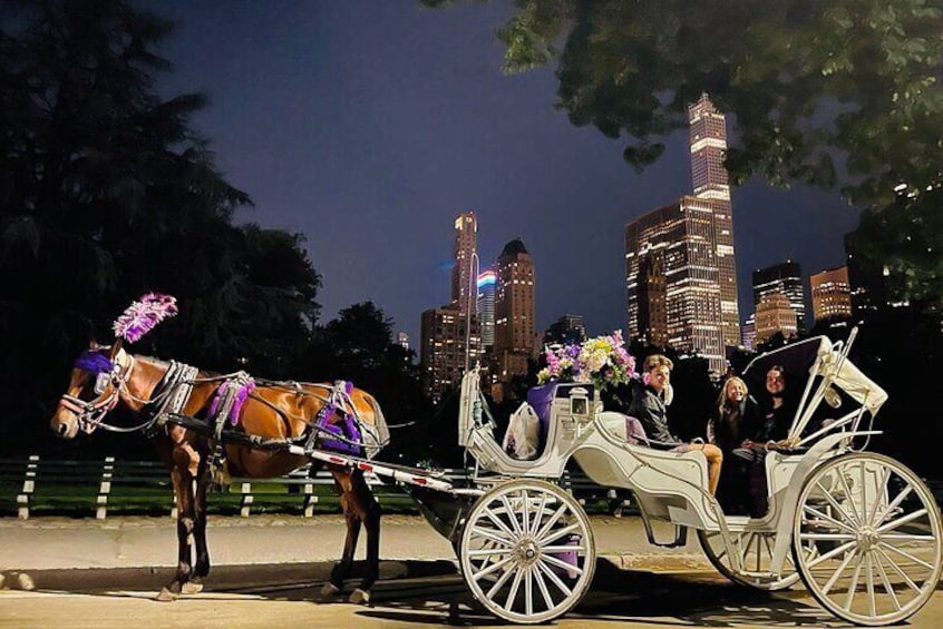 Magical Night Time Ride through Central Park & Rockefeller Center (55 min tour)