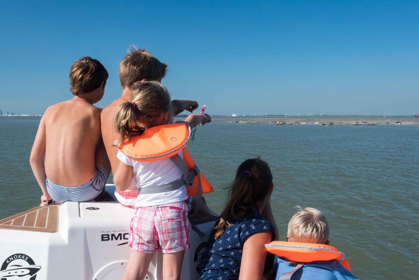 Picture 2 for Activity Cadzand: Seal Discovery Boat Tour with Glass of Champagne