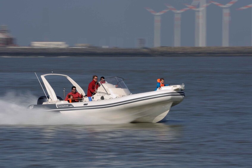 Picture 6 for Activity Cadzand: Seal Discovery Boat Tour with Glass of Champagne