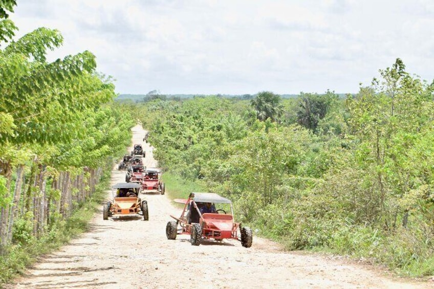 Ecological Buggy Adventure from Santo Domingo