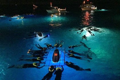 Kailua Kona: Night Manta Ray Adventure on the Big Island