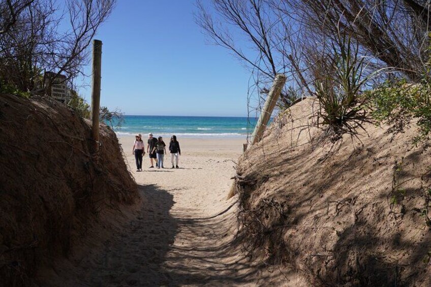 Full-Day Great Ocean Road and 12 Apostles Tour