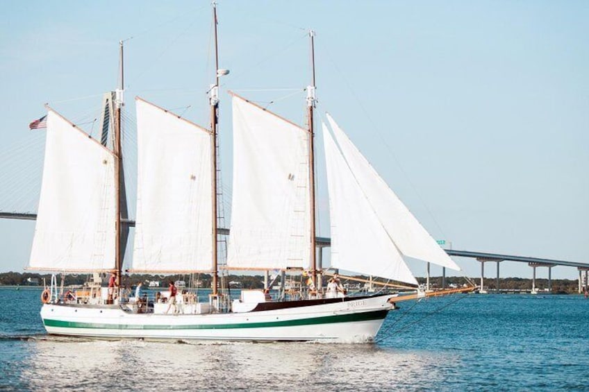 Afternoon Schooner Sightseeing Dolphin Cruise on Charleston Harbor