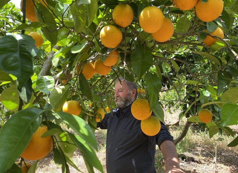 Picture 9 for Activity From Rethymno: The Cretan Way of Life in the mountains