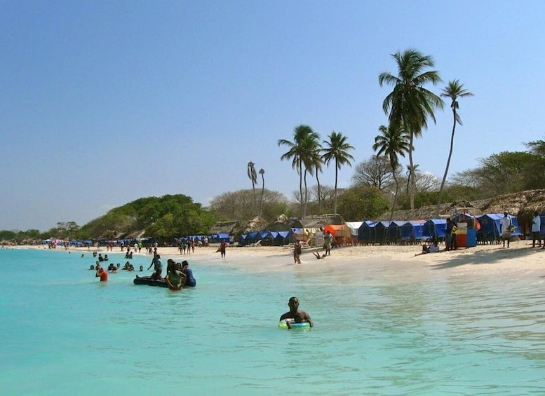 Picture 2 for Activity Cartagena: Playa Blanca Round-Trip Transfer