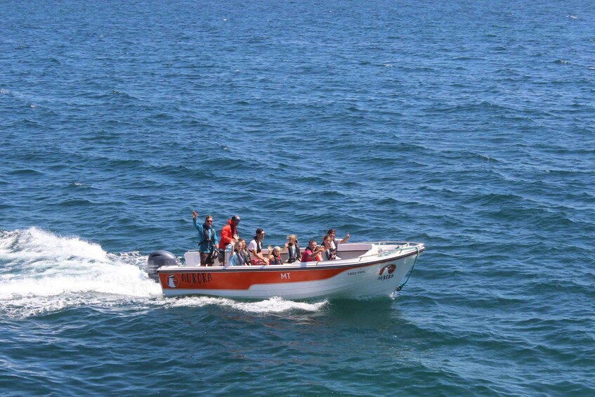 Picture 4 for Activity Armação de Pêra: Guided Boat Tour of Benagil's 15 Best Caves