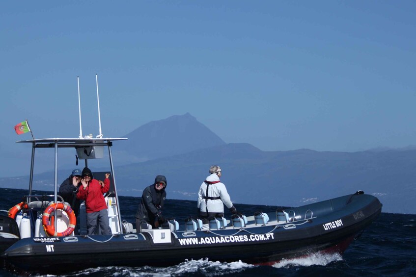 Picture 3 for Activity Pico Island: Azores Whale and Dolphin Watching Boat Tour