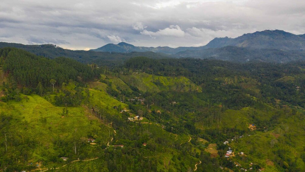 Picture 2 for Activity Sri Lanka: Ella Rock Private Guided Hike