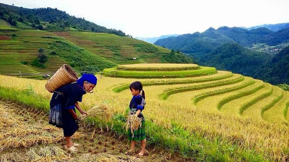 From Sa Pa: 5-Hour Muong Hoa Valley Trek and Ethnic Tribes