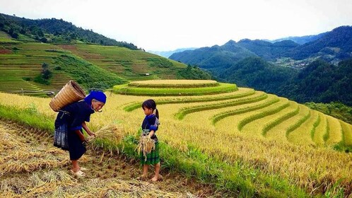 From Sa Pa: 5-Hour Muong Hoa Valley Trek and Ethnic Tribes