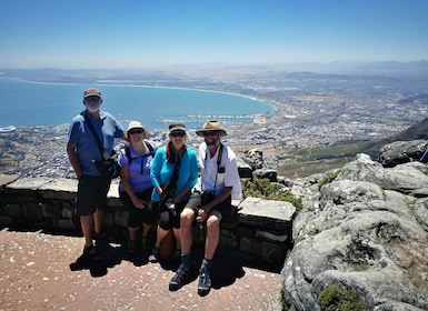 Ciudad del Cabo: tour privado de día completo a Table Mountain y a la ciuda...