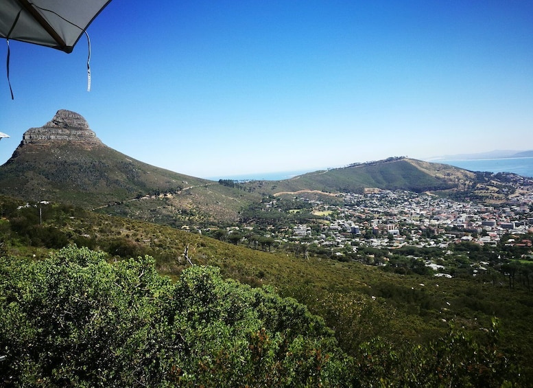 Picture 1 for Activity Cape Town: Private Full-Day Table Mountain and City Tour