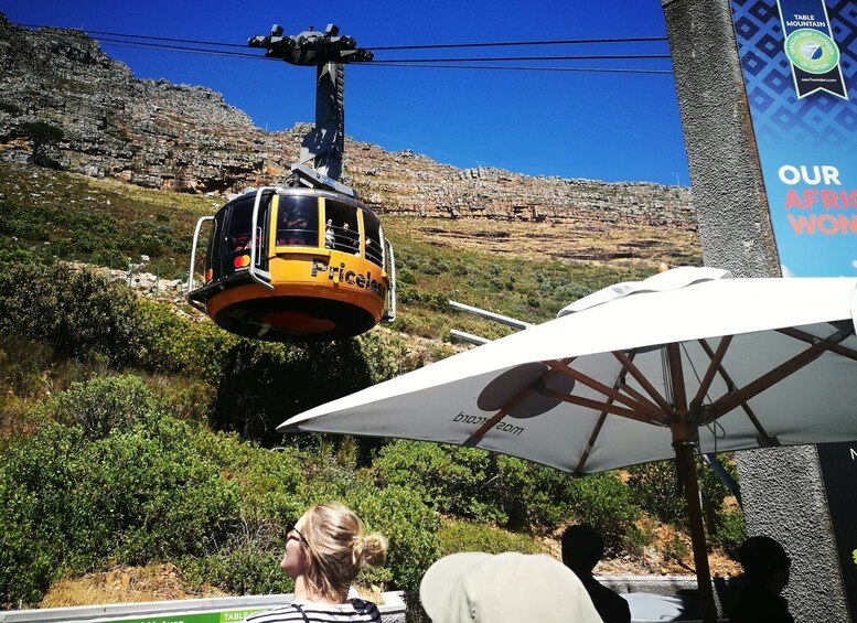 Picture 3 for Activity Cape Town: Private Full-Day Table Mountain and City Tour