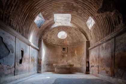 Napoli: Tour guidato privato delle rovine di Pompei e del Vesuvio