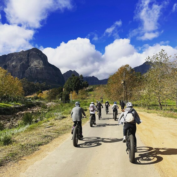 Picture 2 for Activity Stellenbosch: Countryside Banhoek valley E-Bike Wine Tour