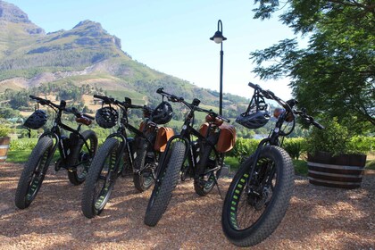 Stellenbosch: Countryside Banhoek valley E-Bike Wine Tour