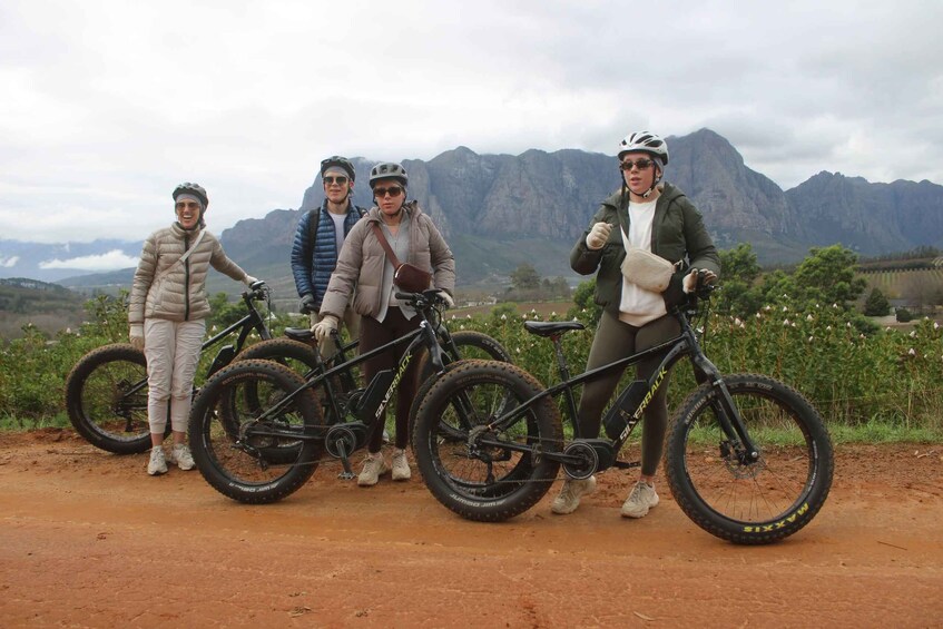 Picture 4 for Activity Stellenbosch: Countryside Banhoek valley E-Bike Wine Tour