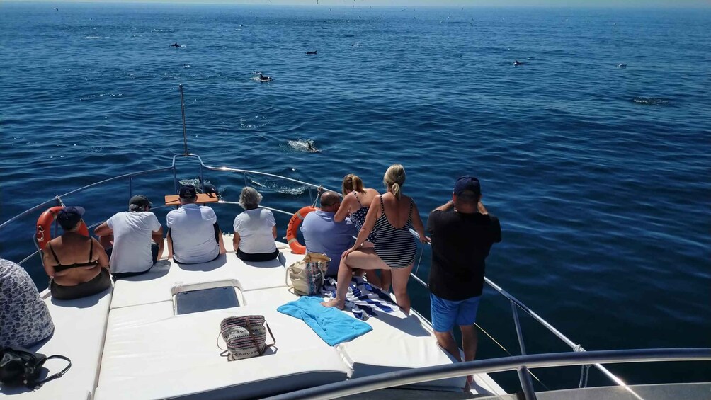 Picture 6 for Activity Fuengirola: Private Luxury Yacht Charter for up to 12 People