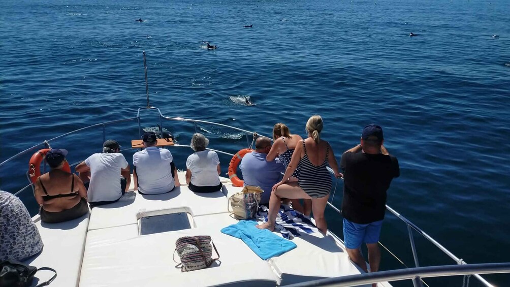 Picture 6 for Activity Fuengirola: Private Luxury Yacht Charter for up to 12 People