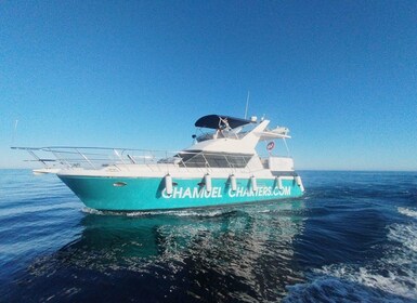 Fuengirola: Privater Luxus-Yachtcharter für bis zu 12 Personen