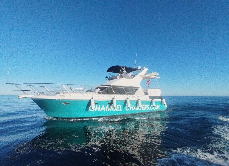 Fuengirola: Private Luxury Yacht Charter for up to 12 People