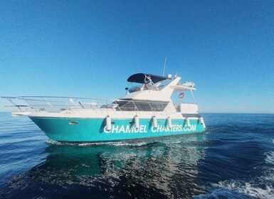 Fuengirola: Privater Luxus-Yachtcharter für bis zu 12 Personen