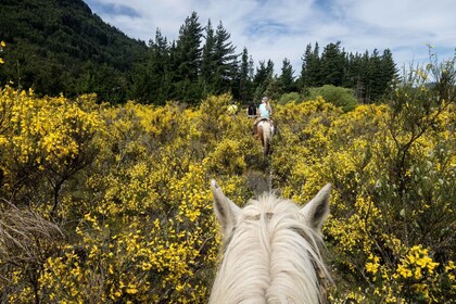 Horseback Riding in Mountain with Lunch