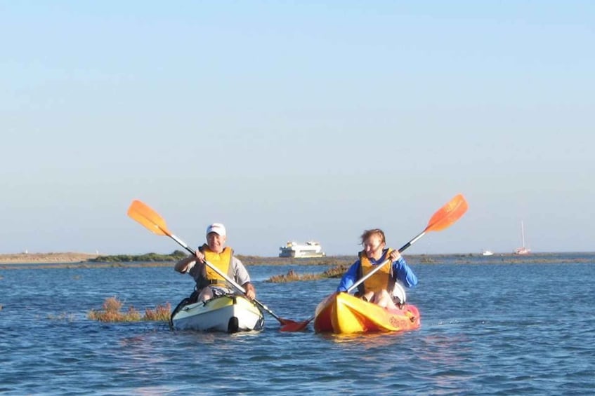 Picture 4 for Activity Faro: Kayak Hire in Ria Formosa Natural Park
