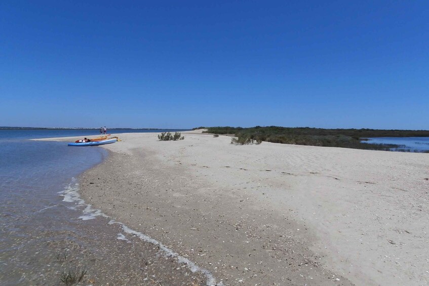 Picture 3 for Activity Faro: Kayak Hire in Ria Formosa Natural Park