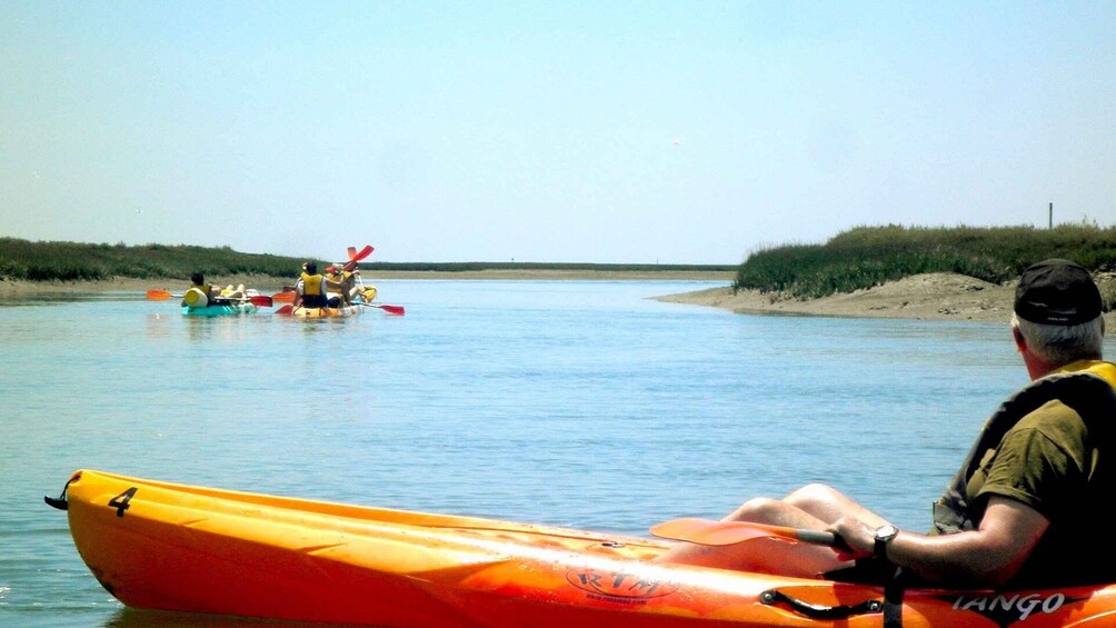 Picture 13 for Activity Faro: Kayak Hire in Ria Formosa Natural Park