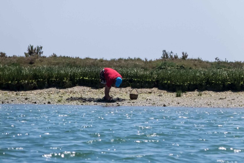 Picture 12 for Activity Faro: Kayak Hire in Ria Formosa Natural Park