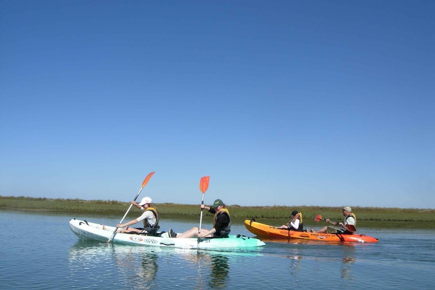 Picture 8 for Activity Faro: Kayak Hire in Ria Formosa Natural Park