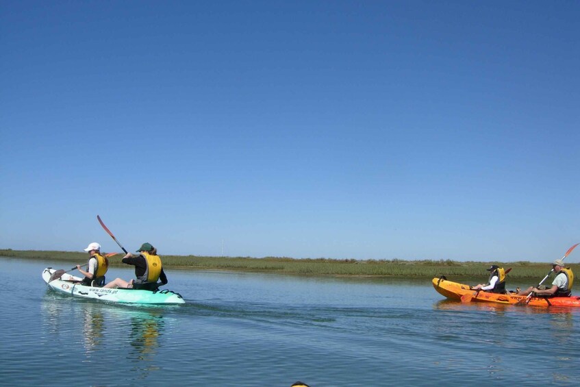 Picture 9 for Activity Faro: Kayak Hire in Ria Formosa Natural Park