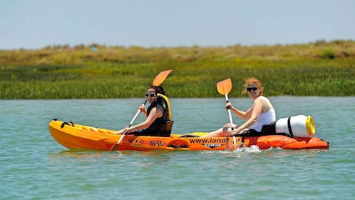 Faro: Noleggio di kayak nel Parco Naturale di Ria Formosa
