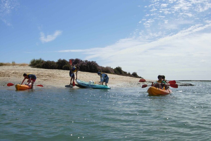 Picture 10 for Activity Faro: Kayak Hire in Ria Formosa Natural Park